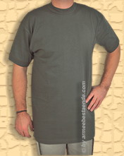 das BW-T-Shirt in oliv, schon jetzt ein Klassiker